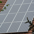 DSCN2529_JPG-1334478969