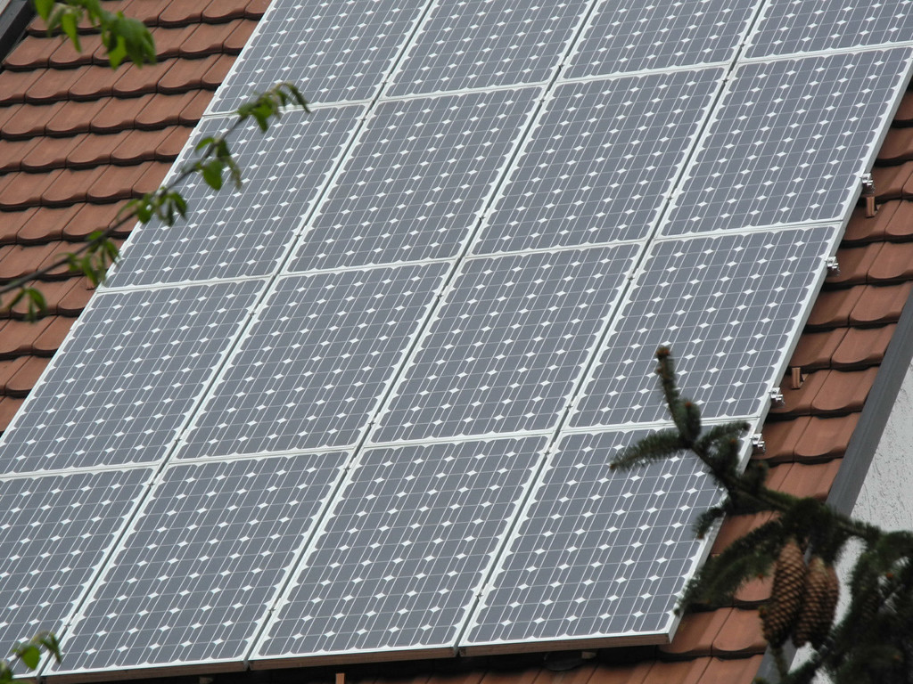 DSCN2529_JPG-1334478969