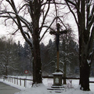 P7090267.JPG