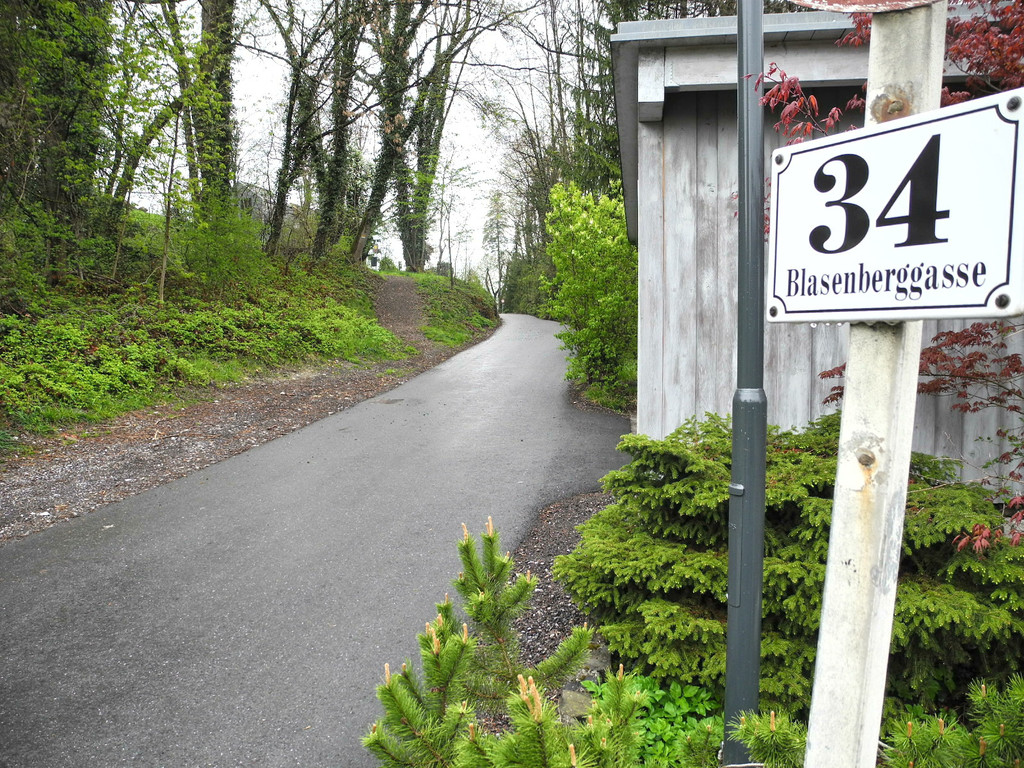 Blasen1_JPG-1334481821