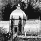 Palmenhaus alt 1a_JPG-1334482054