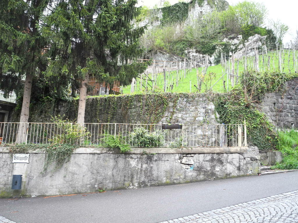 DSCN2485_JPG-1334482025