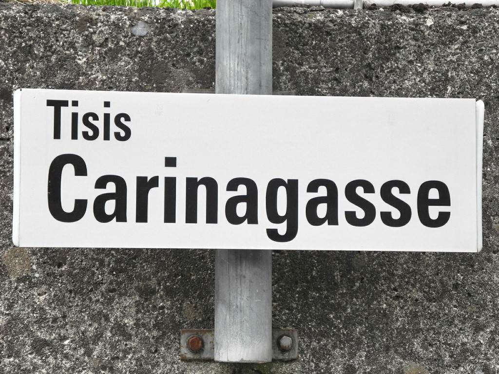 Carina2_JPG-1334481965