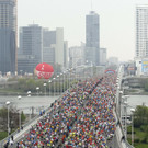 DAB2113-20120415.jpg