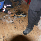 14012010brandsbgwhaktivnews_10.jpg