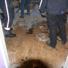 14012010brandsbgwhaktivnews_08.jpg
