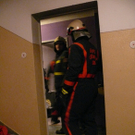 14012010brandsbgwhaktivnews_04.jpg