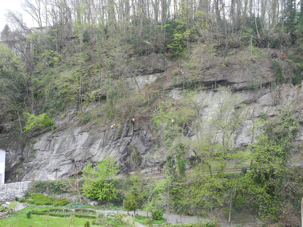 DSCN2518_JPG-1334494893