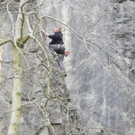 DSCN2535_JPG-1334495136