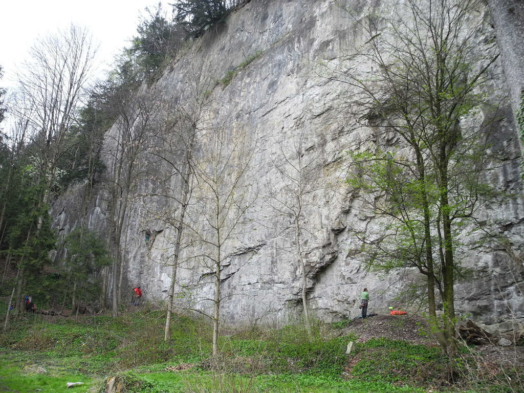 DSCN2536_JPG-1334495164