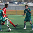 VB Maeder Dornb_ Rankl  2012 210_jpg-1334511342