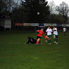 DSC_1081.JPG