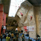 Kueblis_001032p _Custom__jpg-1334551583