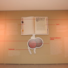 DSCN2422_JPG-1334576506