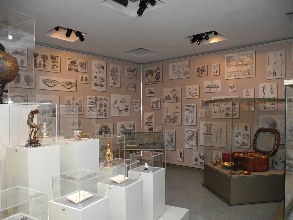 DSCN2440_JPG-1334576790