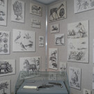 DSCN2442_JPG-1334576846