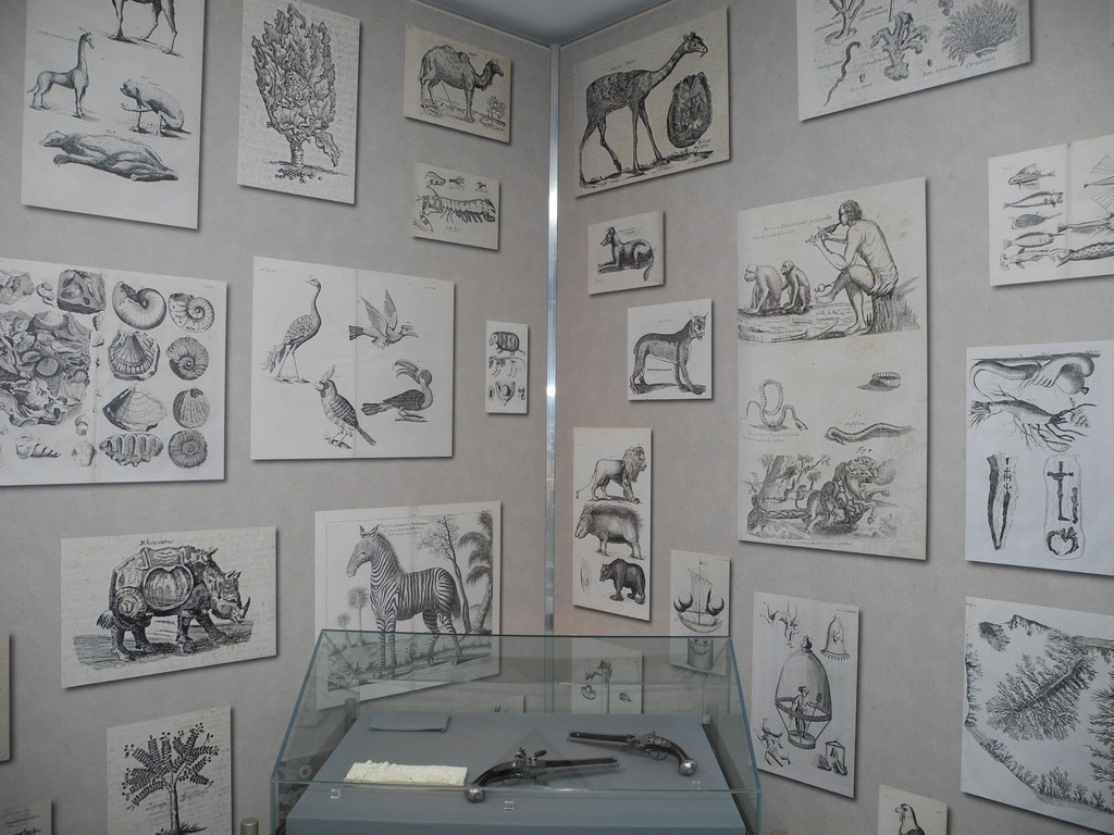 DSCN2442_JPG-1334576846