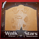 Loreena McKennitt_4_WOS 2012 _c_ Hannes Ehn_tip3-Walk of Stars.jpg