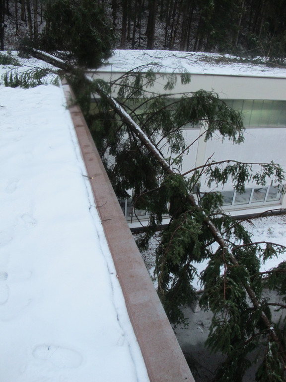 2012-01-06_TE Badstra__e 23_ 016_jpg-1334611746