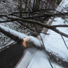 2012-01-06_TE Badstra__e 23_ 022_jpg-1334611766