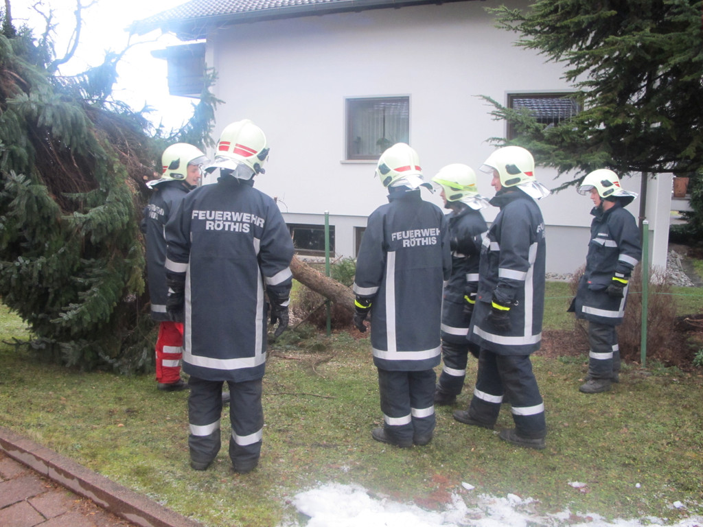 2012-01-06_TE Voralsweg 23_ 006_jpg-1334612087