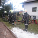 2012-01-06_TE Voralsweg 23_ 008_jpg-1334612126