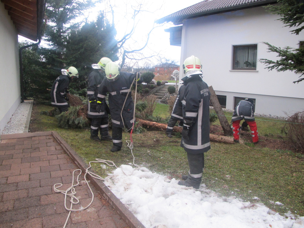 2012-01-06_TE Voralsweg 23_ 008_jpg-1334612126
