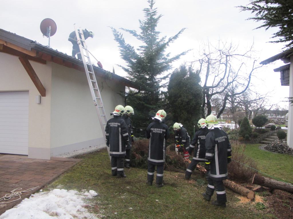 2012-01-06_TE Voralsweg 23_ 010_jpg-1334612164