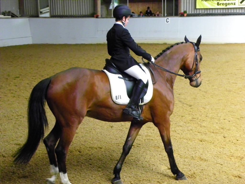 101_8399_jpg-1334613470