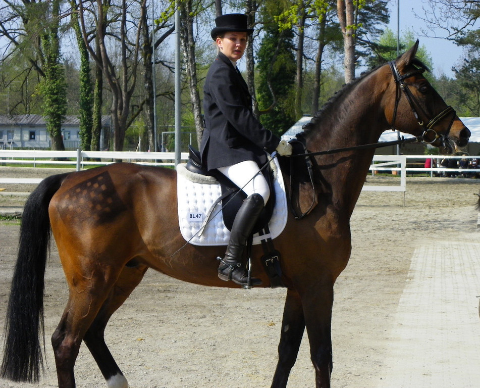 101_8422_jpg-1334613494