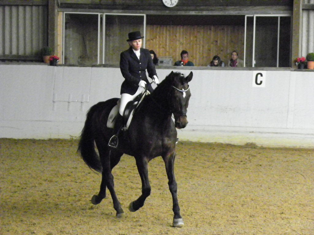 101_8390_jpg-1334613452