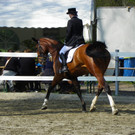 101_8430_jpg-1334613512