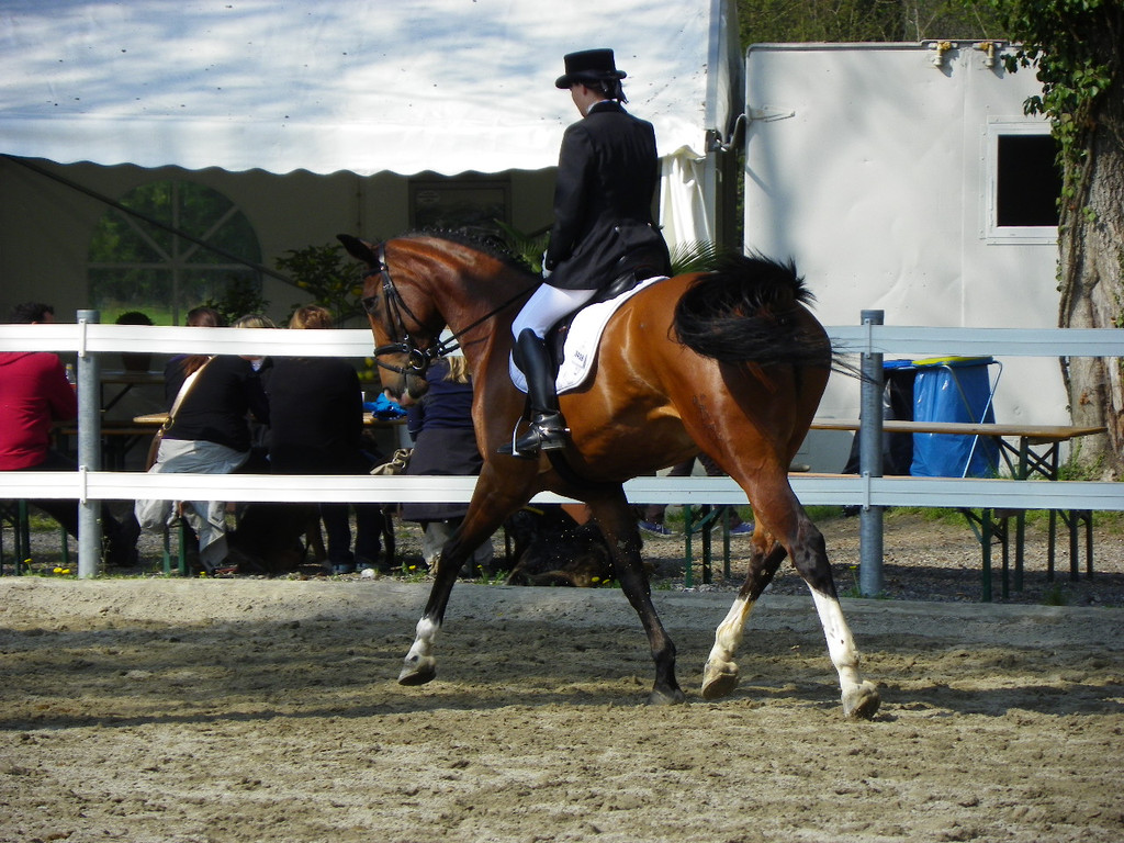 101_8430_jpg-1334613512