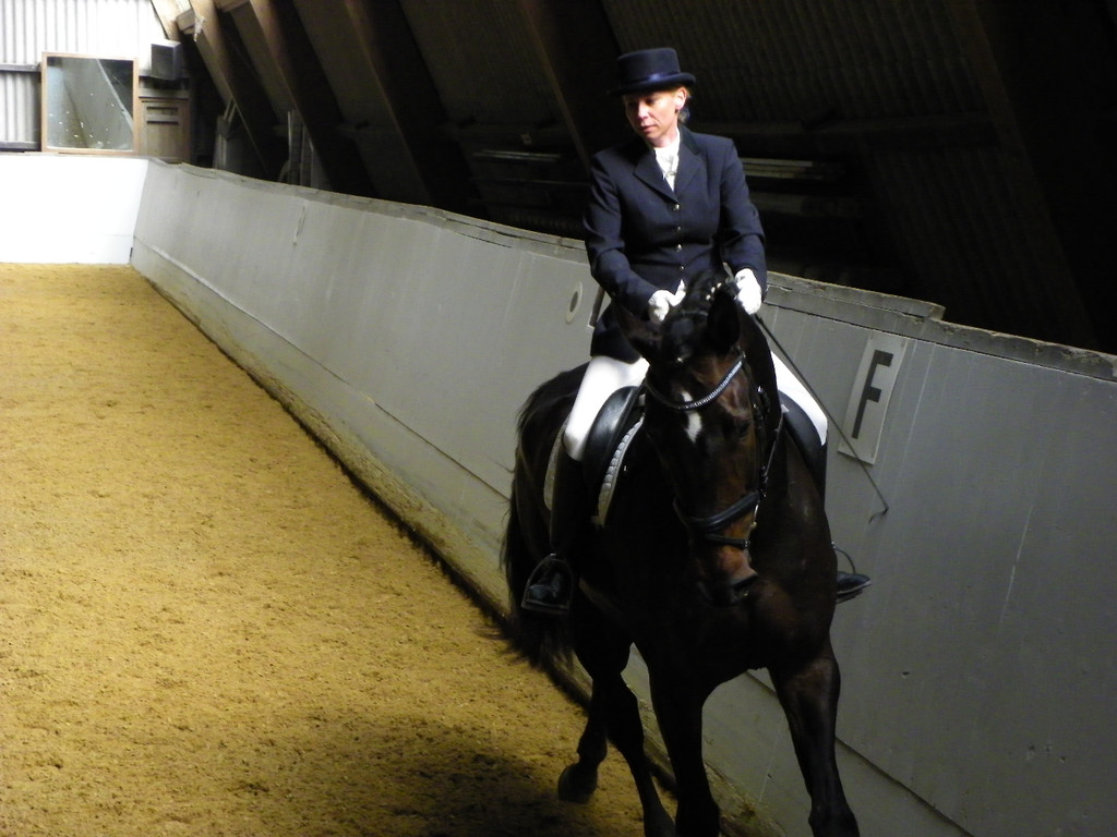 101_8391_jpg-1334613458