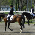 101_8420_jpg-1334613488