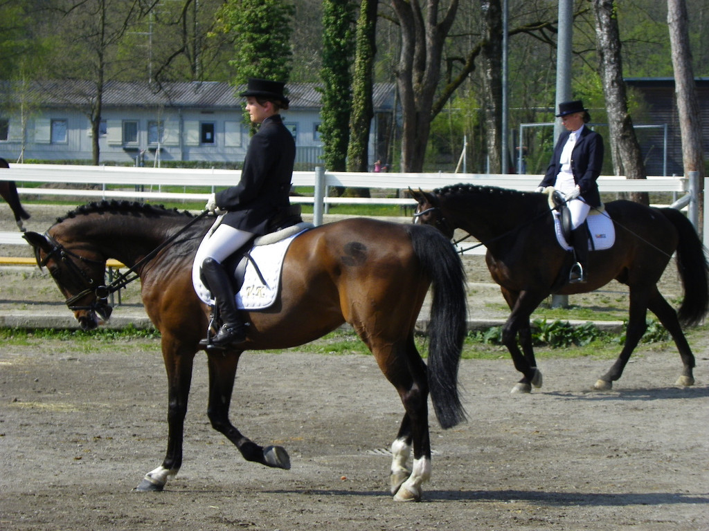 101_8420_jpg-1334613488