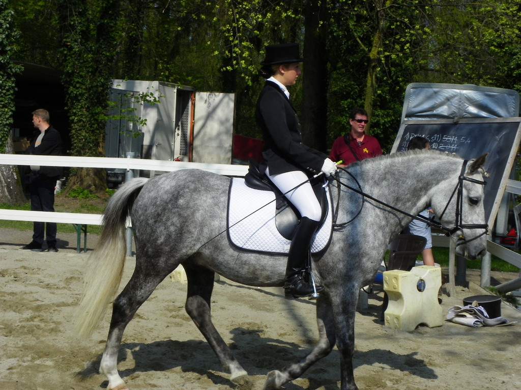 101_8427_jpg-1334613500