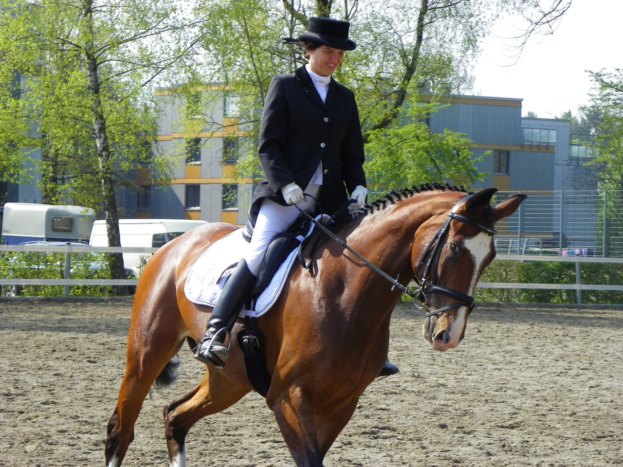 101_8429_jpg-1334613506