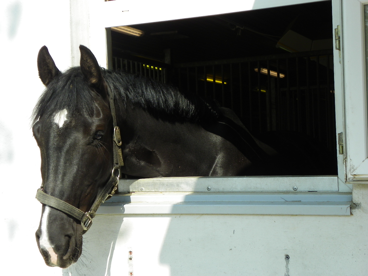 101_8437_jpg-1334613518