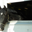 101_8437_jpg-1334613518