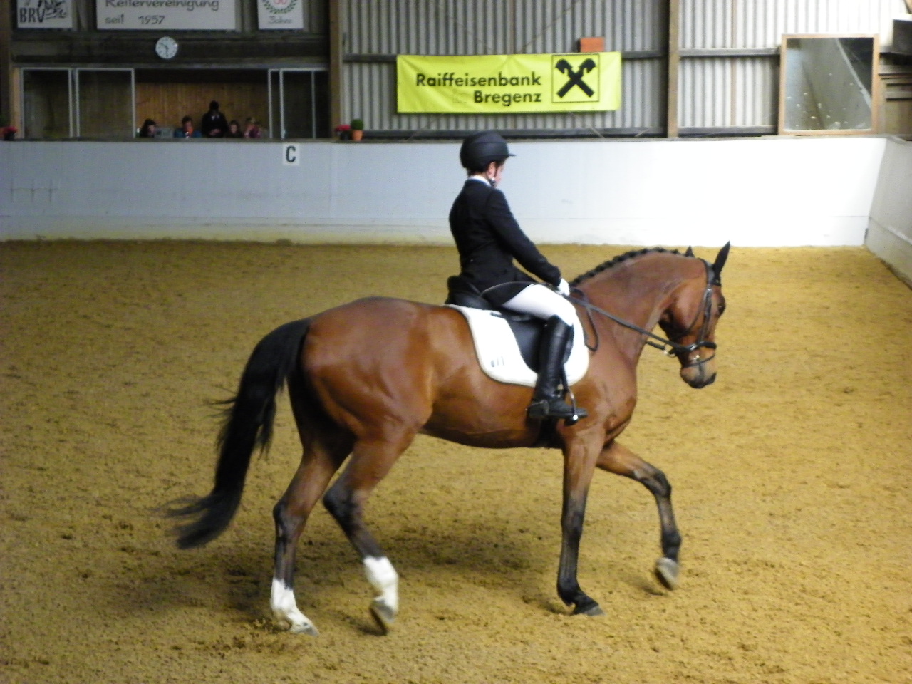 101_8400_jpg-1334613476