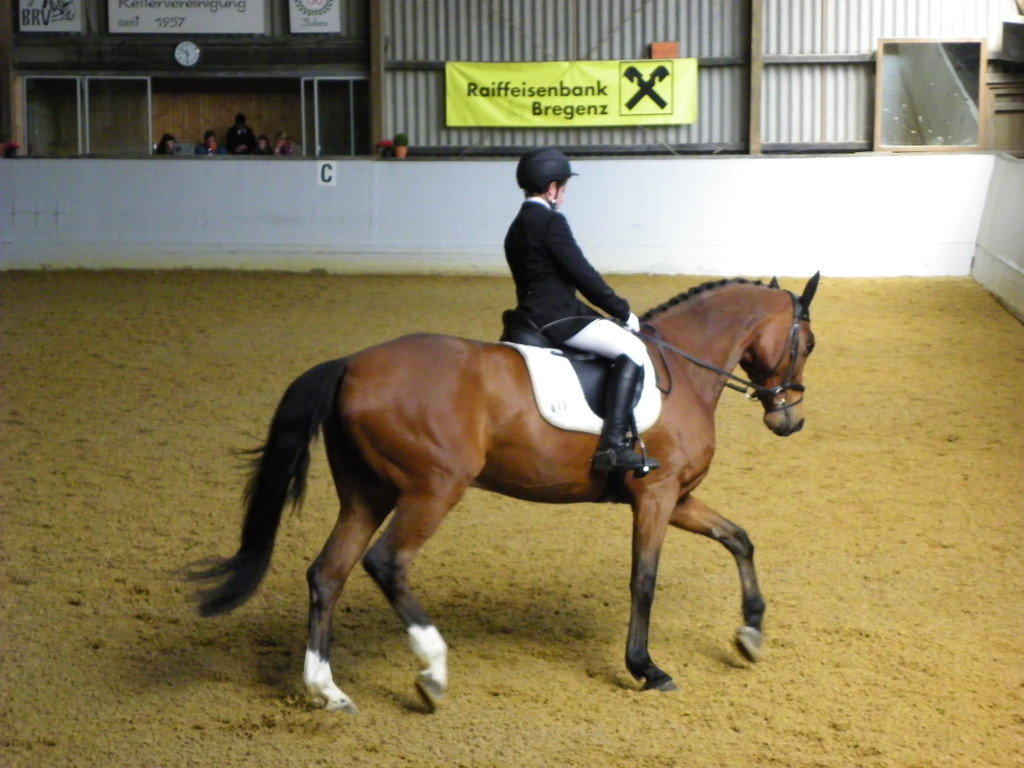 101_8400_jpg-1334613476