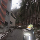 Sturmschaden Röfix