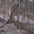 2012-01-06_TE Badstra__e 23_ 010_jpg-1334613728