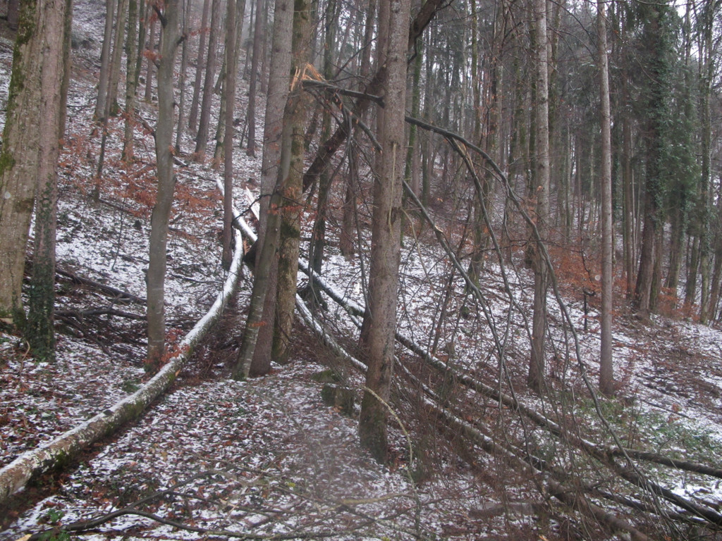 2012-01-06_TE Badstra__e 23_ 010_jpg-1334613728