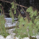 2012-01-06_TE Badstra__e 23_ 033_jpg-1334613884