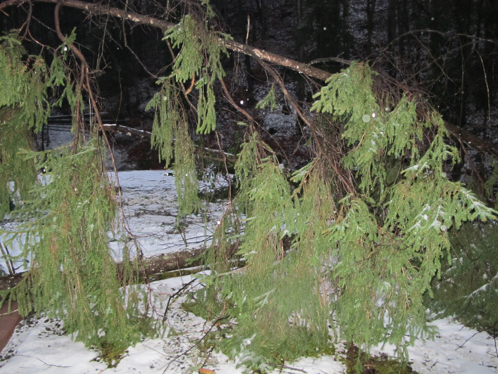 2012-01-06_TE Badstra__e 23_ 033_jpg-1334613884