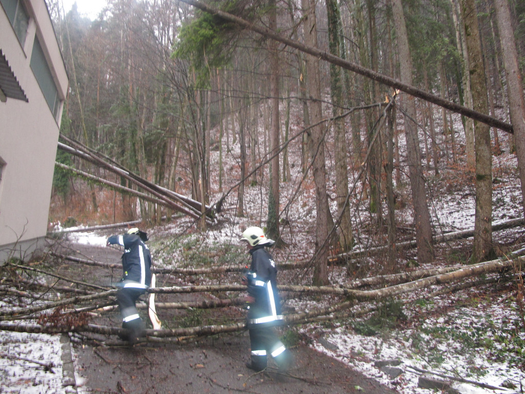 2012-01-06_TE Badstra__e 23_ 002_jpg-1334614433