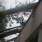 2012-01-06_TE Badstra__e 23_ 004_jpg-1334614450