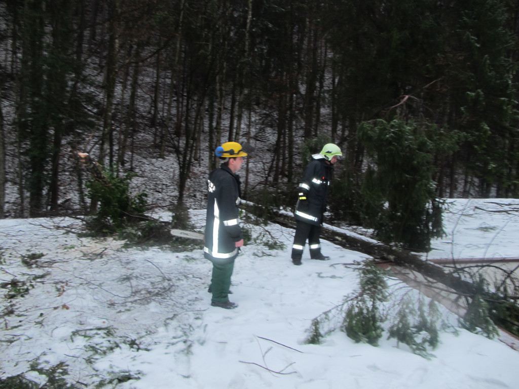 2012-01-06_TE Badstra__e 23_ 019_jpg-1334614512